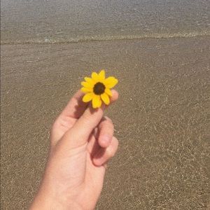 Meet your Posher, Lily